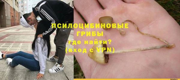 дурь Нефтегорск