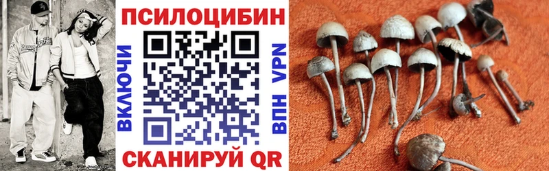 Галлюциногенные грибы прущие грибы  Купить закладки  Новая Усмань 